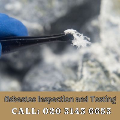 Comprehensive Asbestos Inspection and Testing Services in Clapham